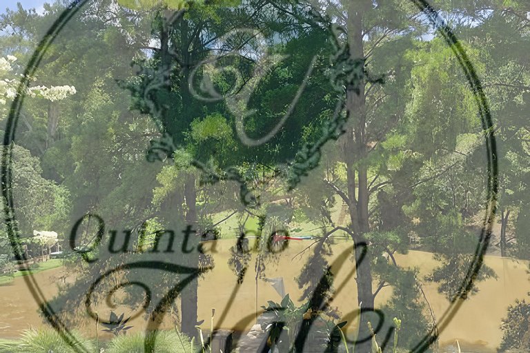 Casa de Vidro - Lago, piscina, caiaque, cachoeira