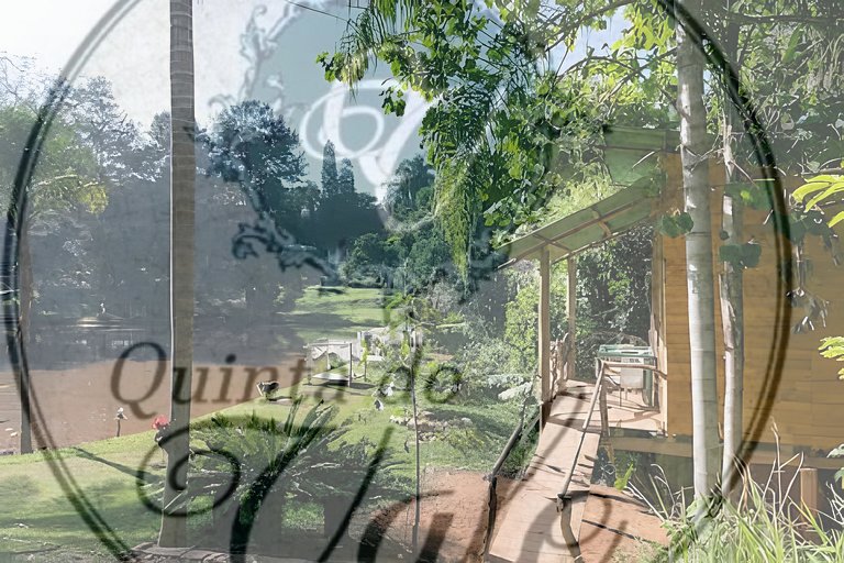 Casa na Árvore em meio à mata. Piscina e Cachoeira