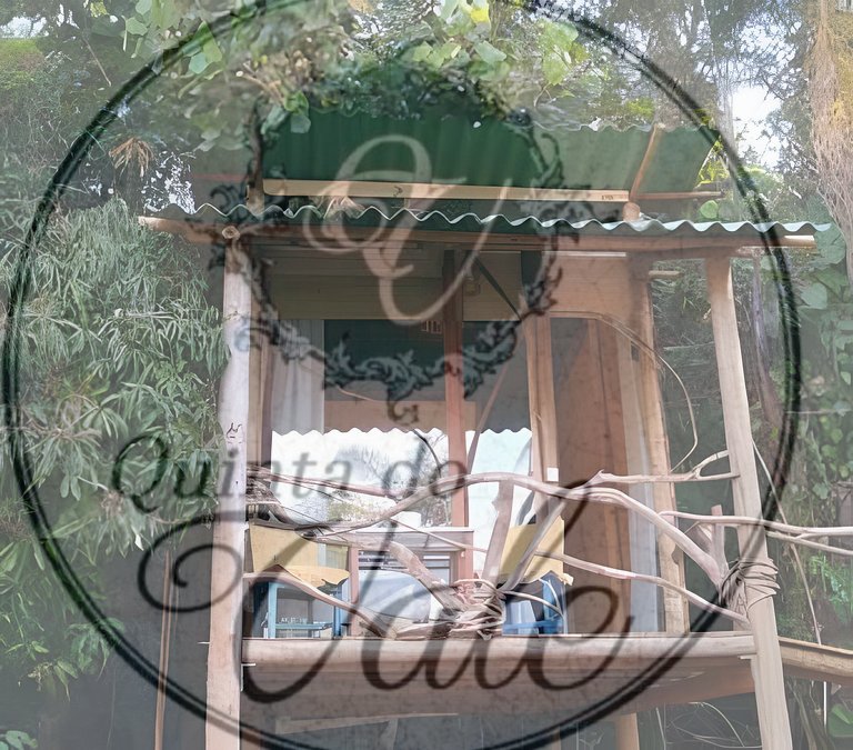 Casa na Árvore em meio à mata. Piscina e Cachoeira