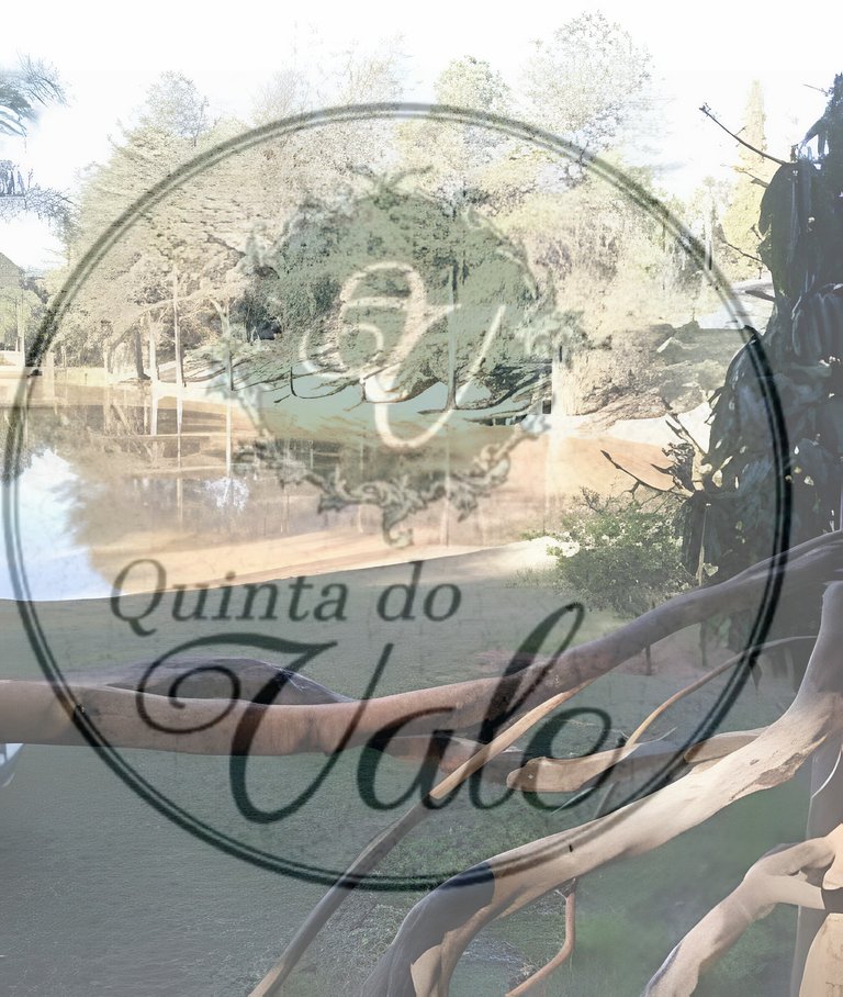 Casa na Árvore em meio à mata. Piscina e Cachoeira