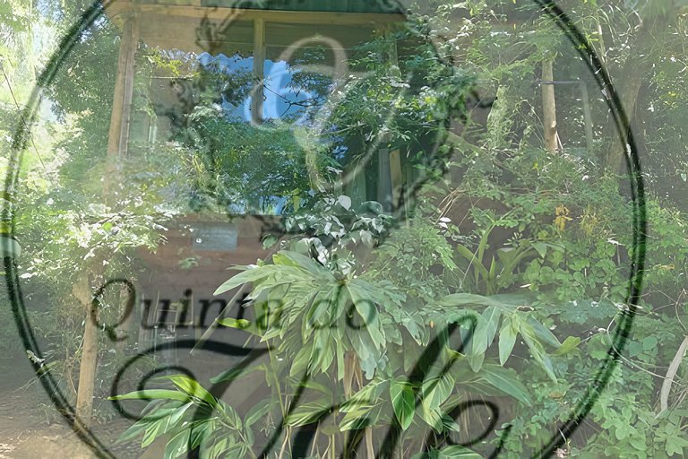 Casa de Vidro: Lago, cachoeira, caiaque, piscina