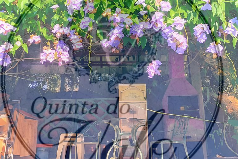 Casa de Vidro: Lago, cachoeira, caiaque, piscina