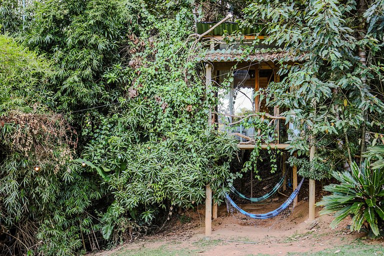 Quinta do Vale: Casa da Árvore - em meio à mata, cascata, la