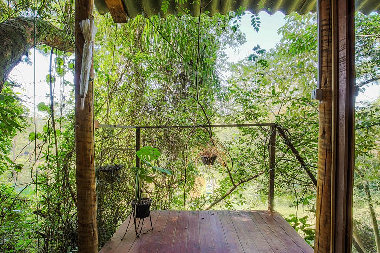 Quinta do Vale - Casa de Vidro 1: Lago, Piscina, Cascata, Pa